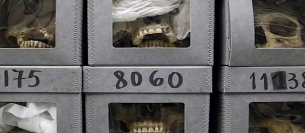 TRiboLAND