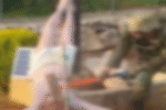 TRiboLAND